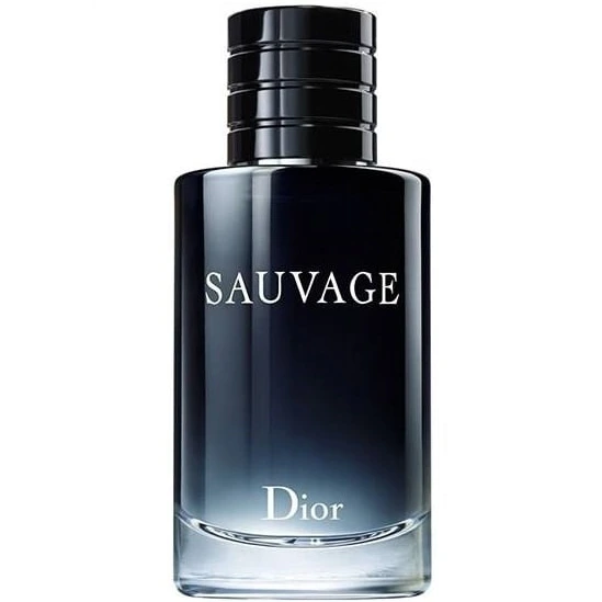 عطر ادکلن ساواج دیور هاردباکس اروپا 100 میل